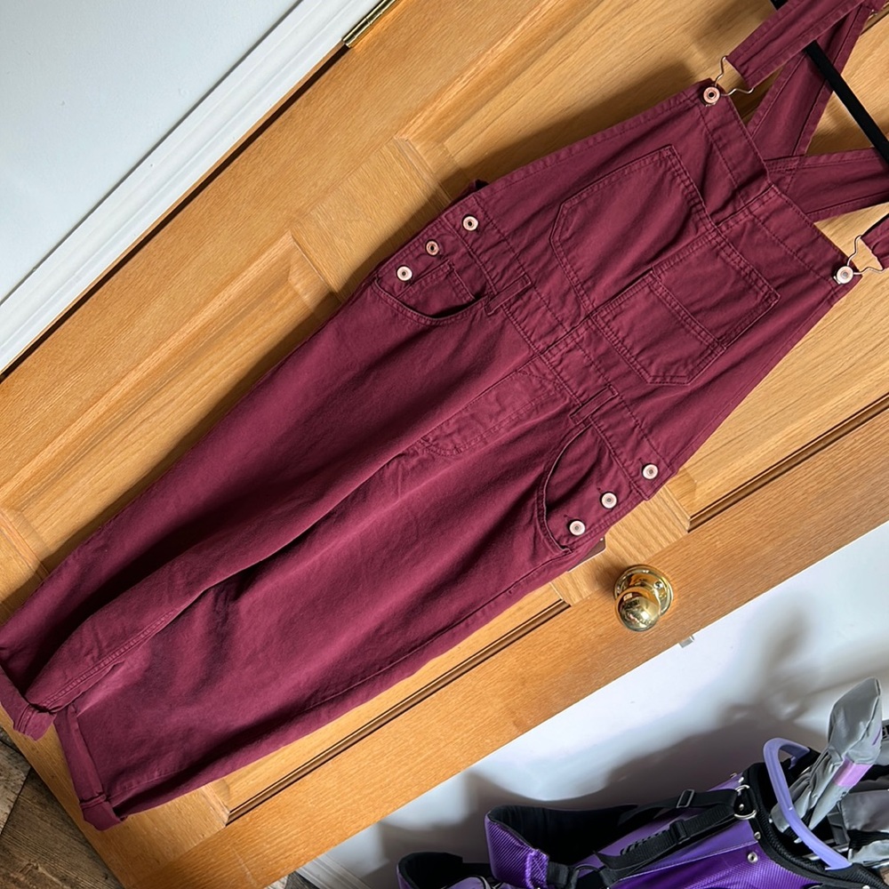 Free people overalls